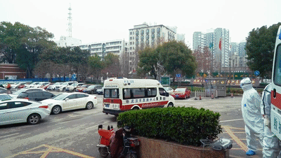 澳门2024免费原料网