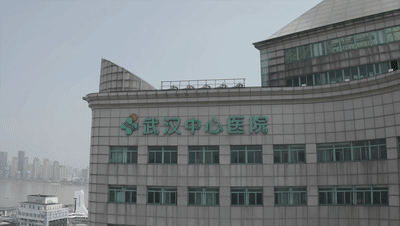 澳门2024免费原料网