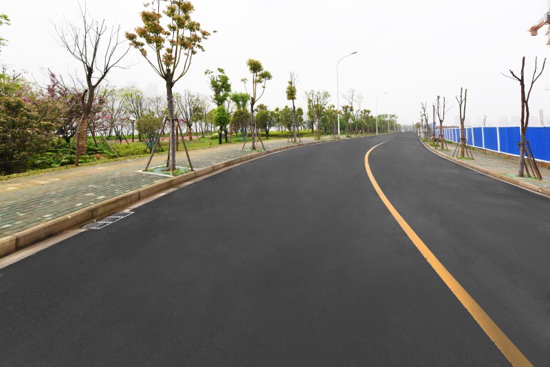 澳门2024免费原料网