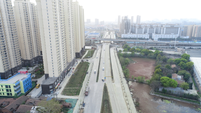 澳门2024免费原料网