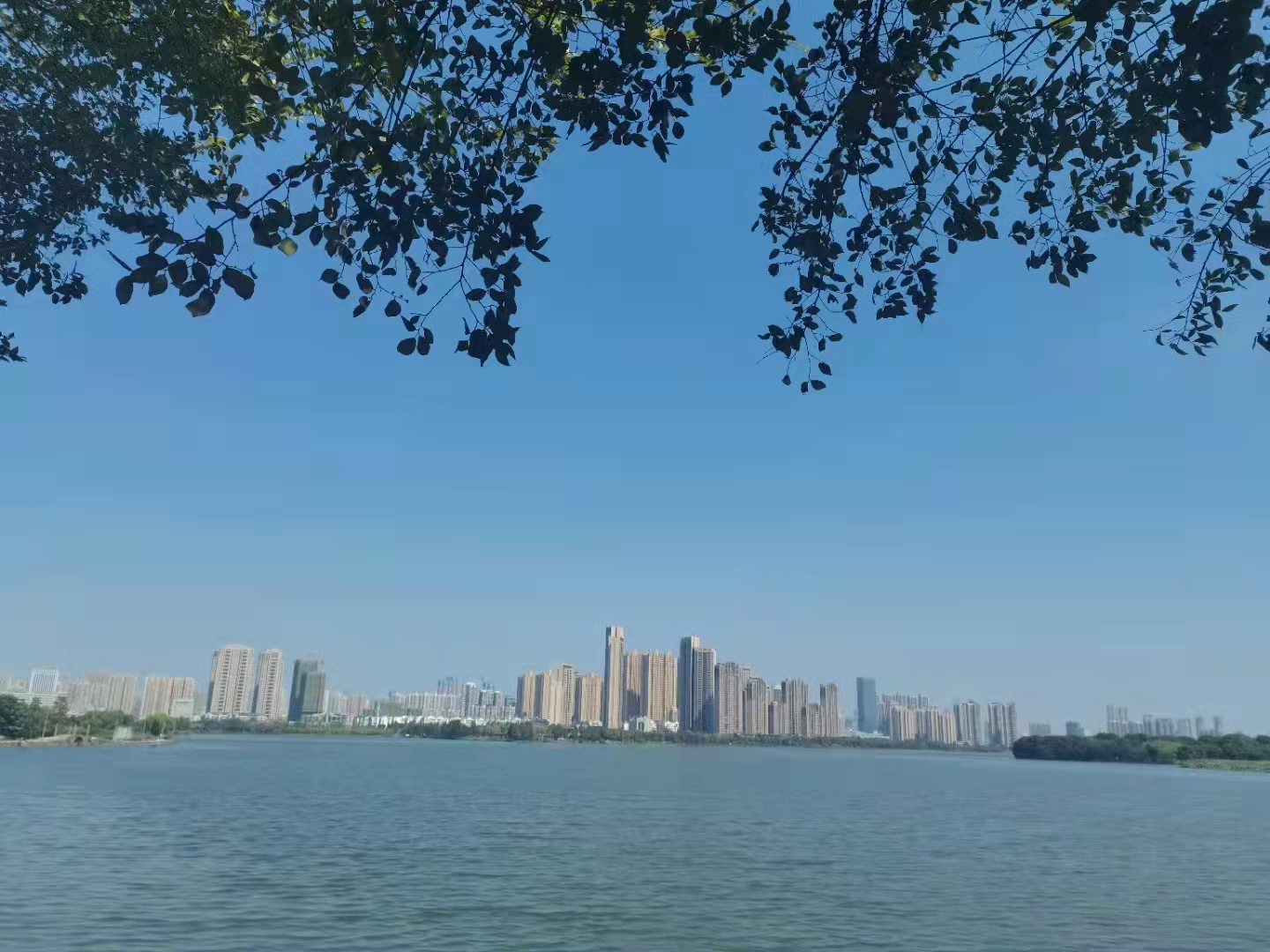 澳门2024免费原料网